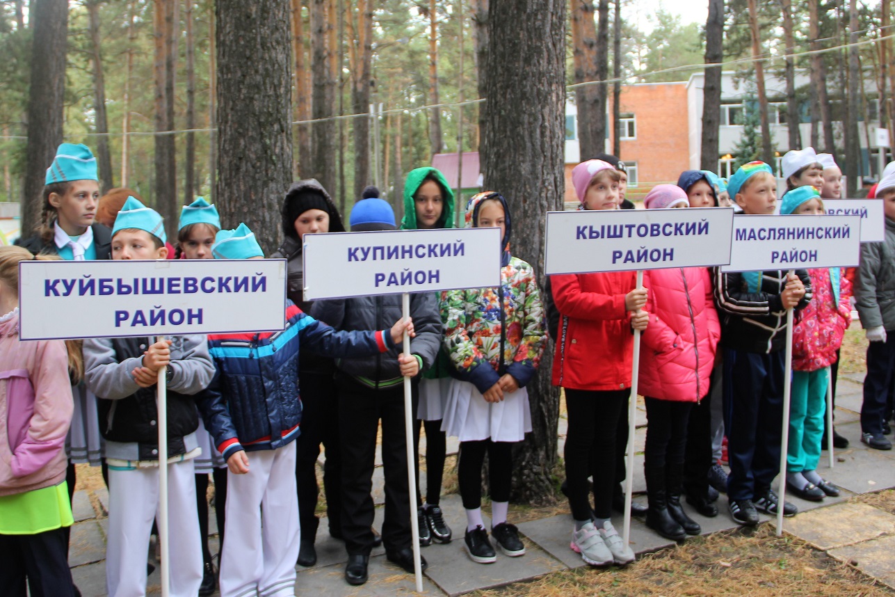 Стартовал областной этап конкурса «Безопасное колесо» | НИОС