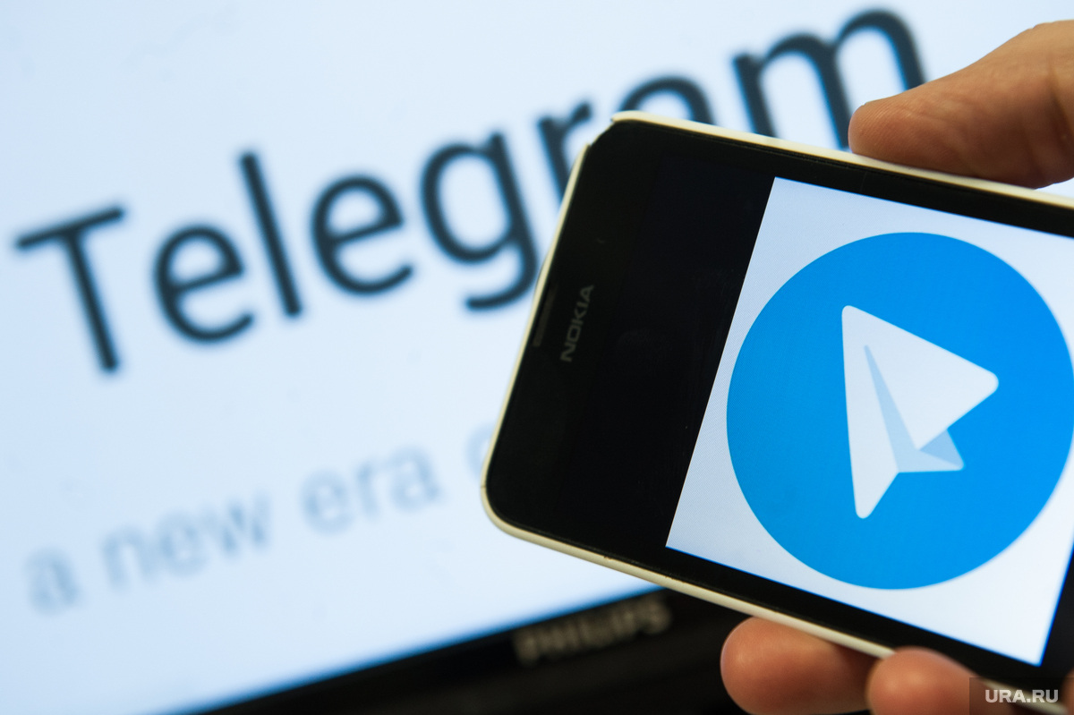 Подписывайтесь на официальные каналы мэра и губернатора в Telegram | НИОС