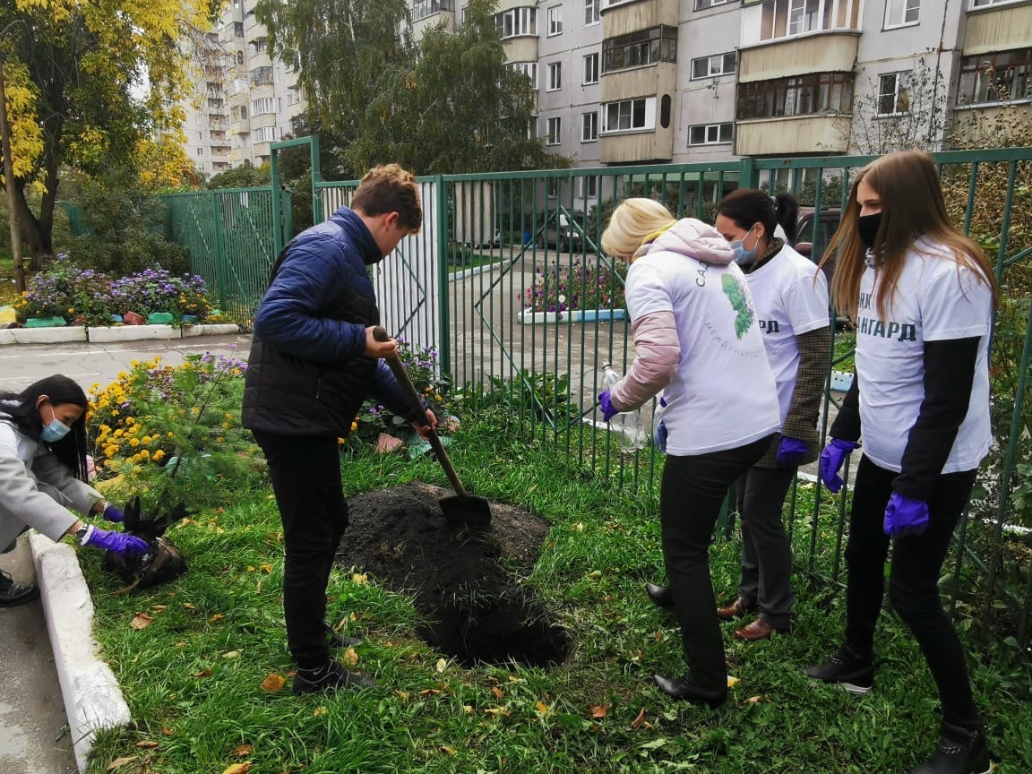 Банк Авангард в Международной акции «Сад памяти» | НИОС