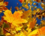 0_1b480_fffb7230_XL